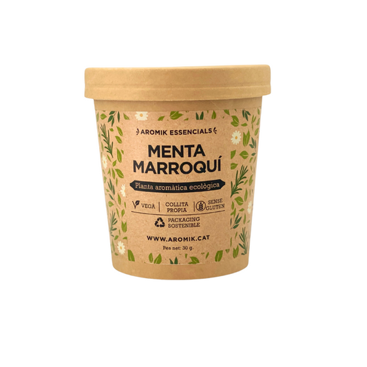 Menta Marroquí