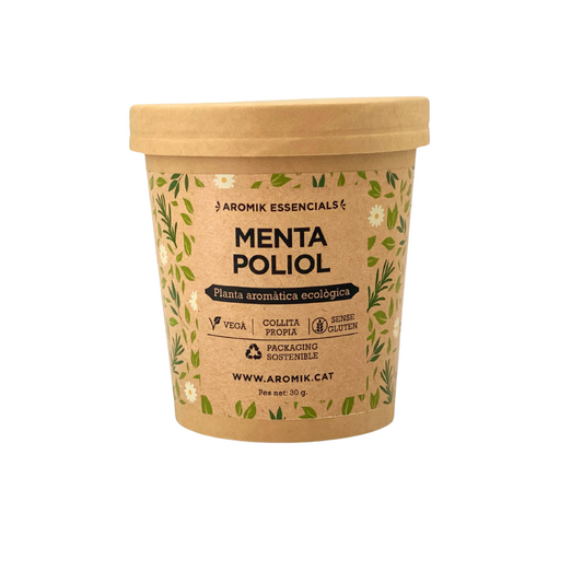 Menta Poleo